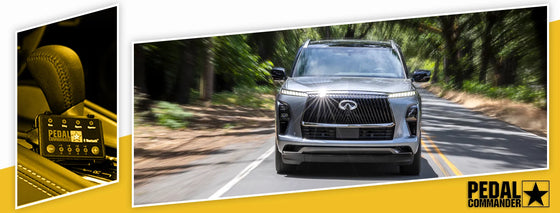 PC51 / 英菲尼迪 / QX80 / Z62 改款 (2018-2024) / (5.6L V8)