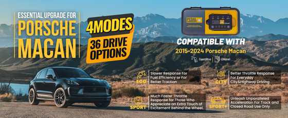 PC09 / 保时捷 / Macan / 95B (2014-2024) / (2.0L TFSI - 2.9L TFSI V6 - 3.0L TFSI V6 - 3.6L 双涡轮增压 V6 - 3.0L TDI V6)