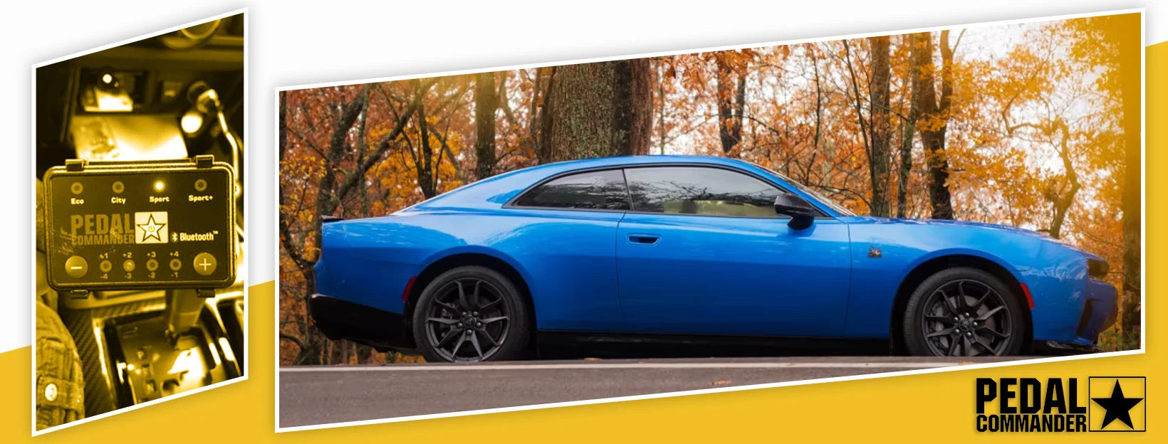 道奇充电器的踏板指挥官