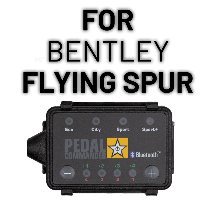 宾利飞驰的踏板指挥官